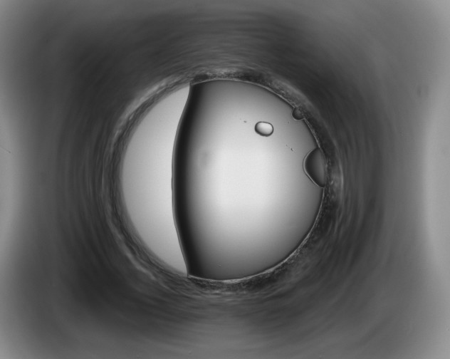 X0000085020732200703121542