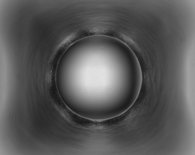 X0000085020735200703121542