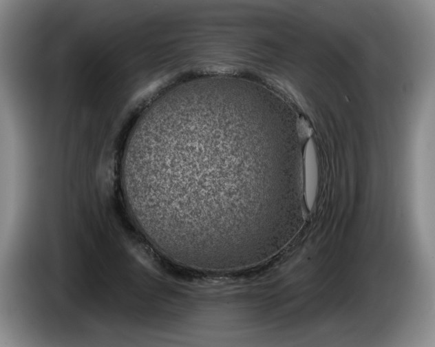 X0000085020736200703121542
