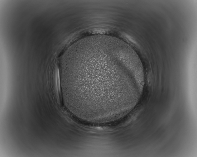 X0000085020737200703121542