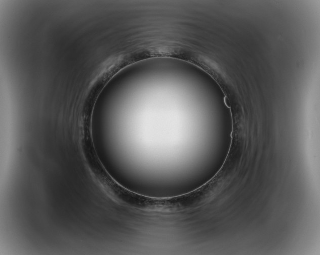 X0000085020738200703121542