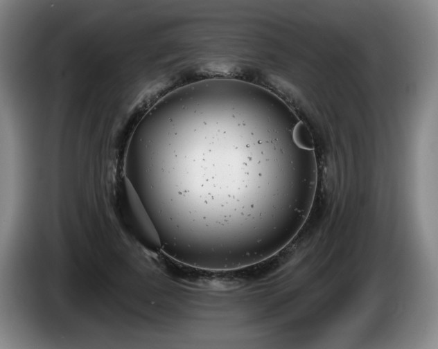 X0000085020739200703121542