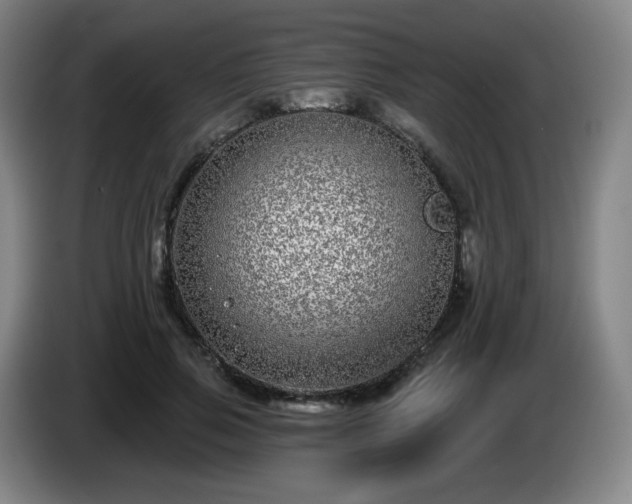 X0000085020741200703121542