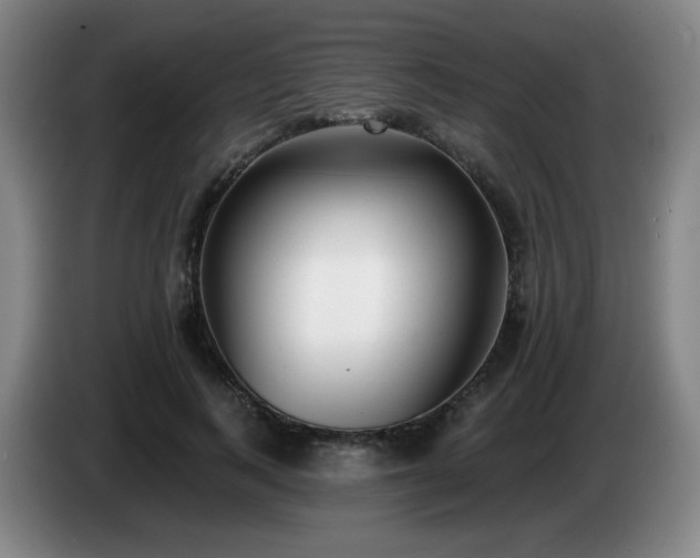X0000085020743200703121542