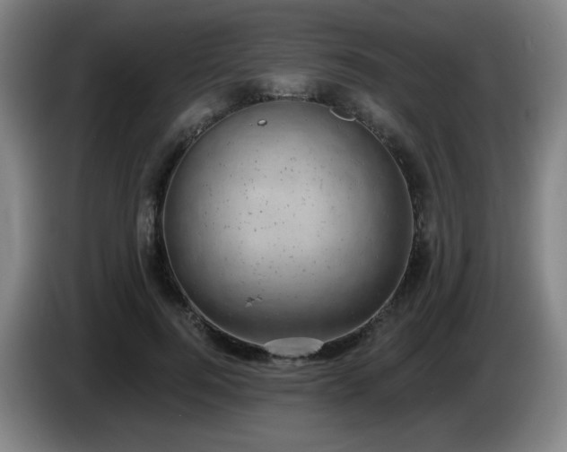X0000085020744200703121542