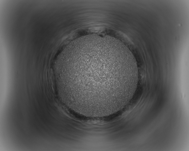 X0000085020745200703121542