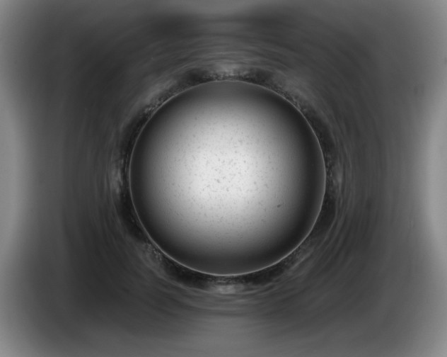 X0000085020746200703121542