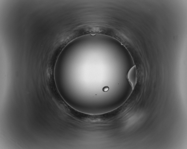 X0000085020747200703121542