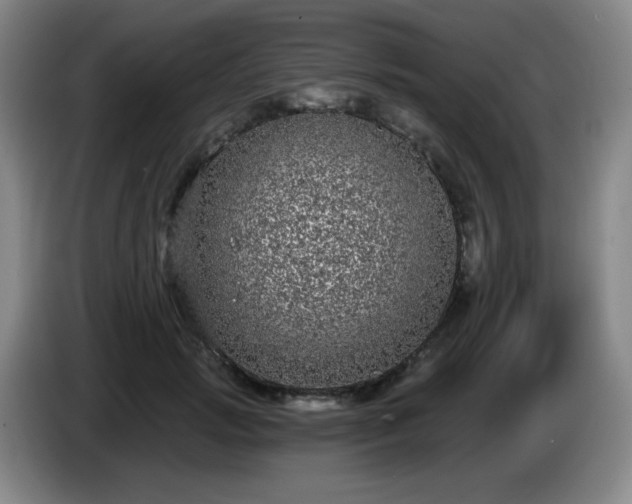X0000085020749200703121542