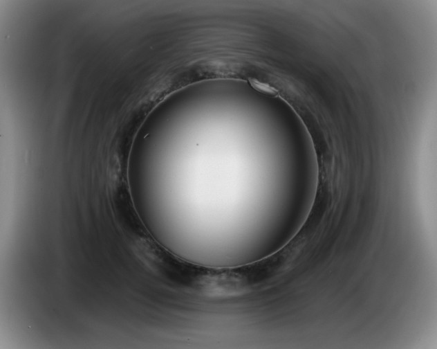 X0000085020752200703121542