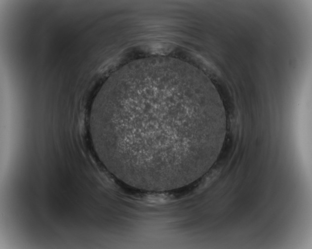 X0000085020757200703121542