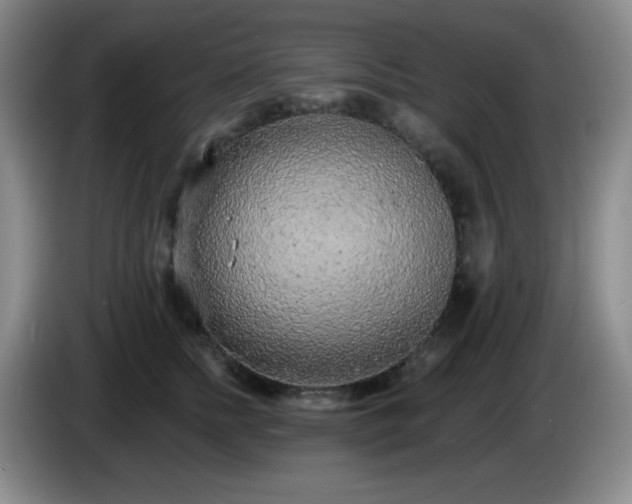 X0000085020758200703121542