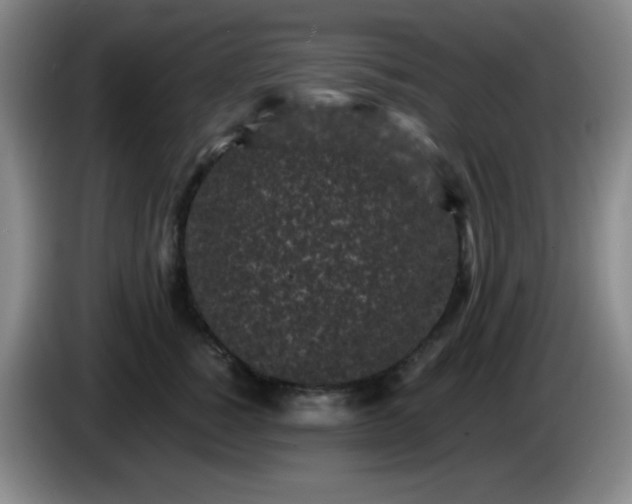 X0000085020760200703121542