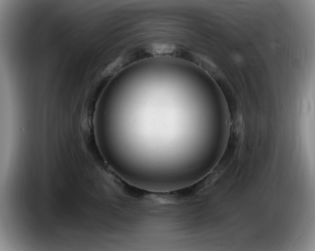X0000085020763200703121542