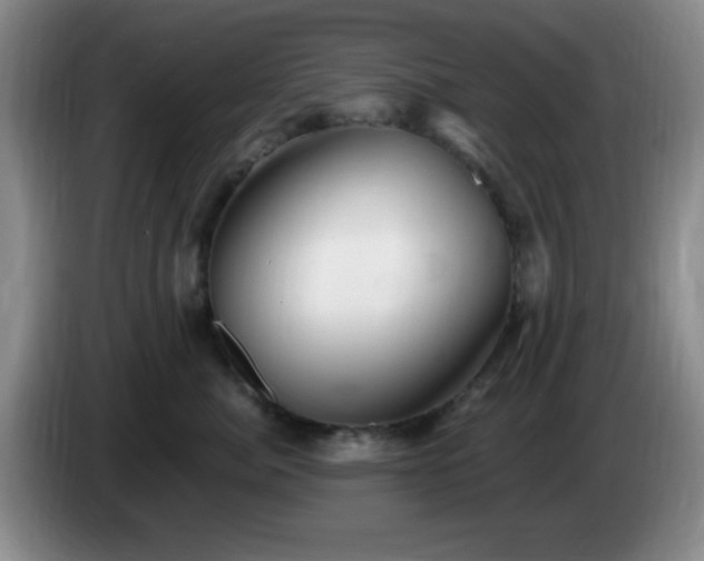 X0000085020764200703121542