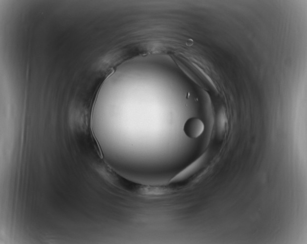 X0000085020766200703121542