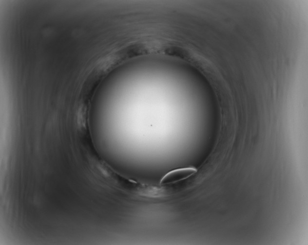 X0000085020768200703121542