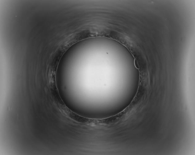X0000085020770200703121542