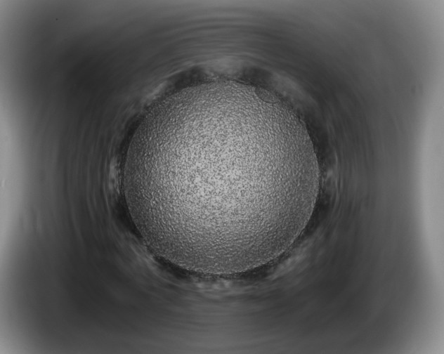 X0000085020772200703121542