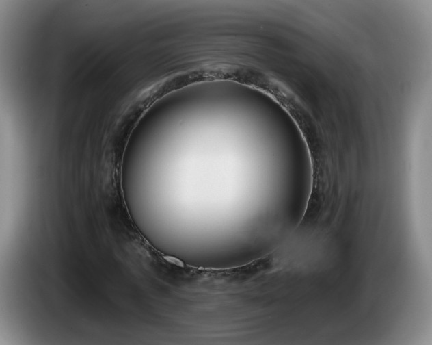 X0000085020773200703121542