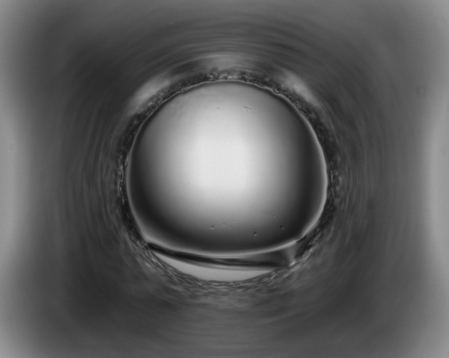 X0000085020775200703121542