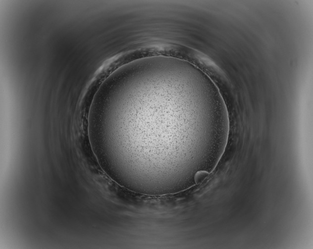 X0000085020776200703121542