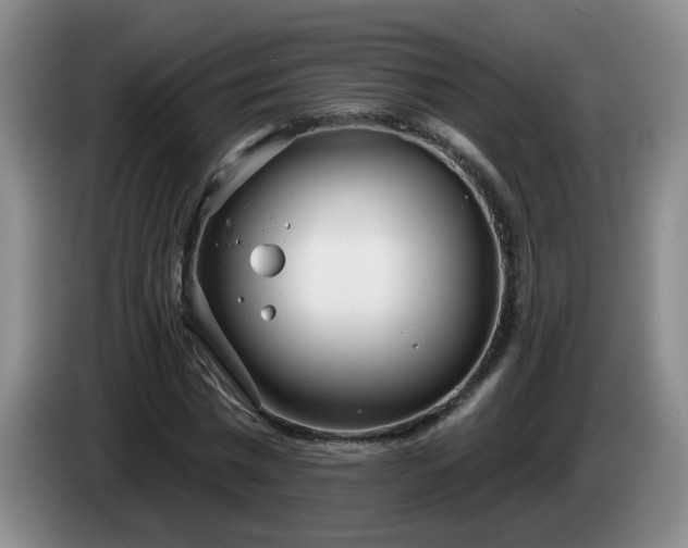 X0000085020777200703121542
