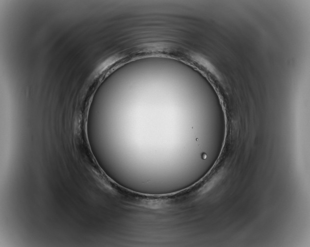 X0000085020778200703121542