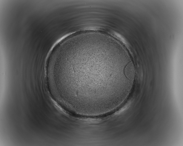 X0000085020779200703121542