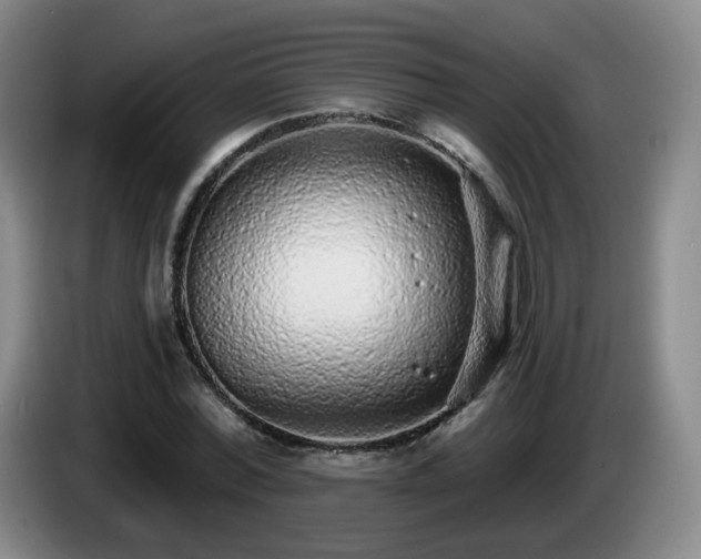 X0000085020780200703121542