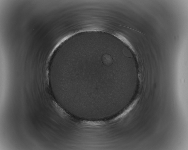 X0000085020781200703121542