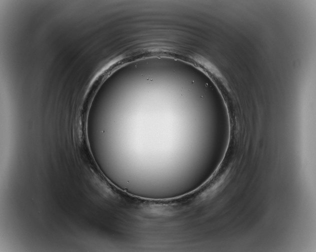 X0000085020782200703121542