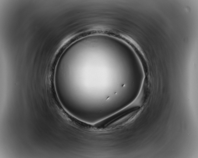 X0000085020783200703121542