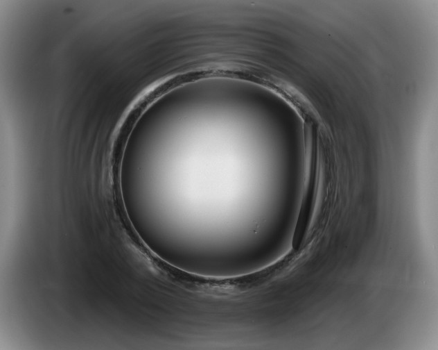 X0000085020784200703121542