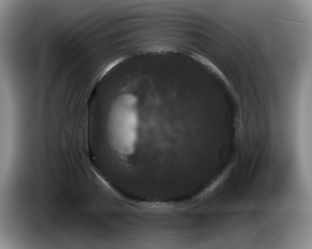 X0000085020785200703121542