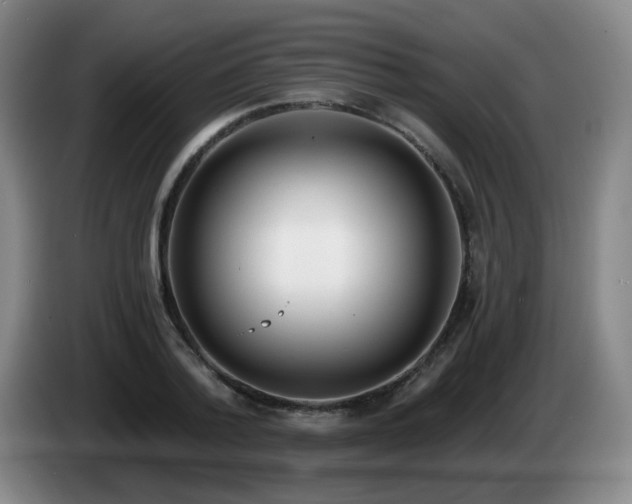 X0000085020788200703121542