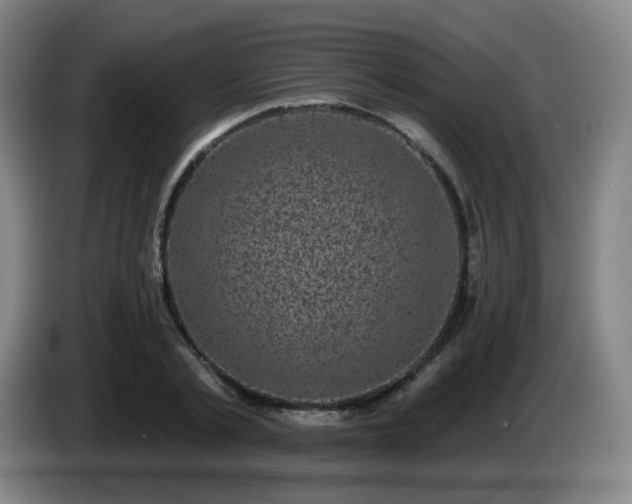 X0000085020789200703121542