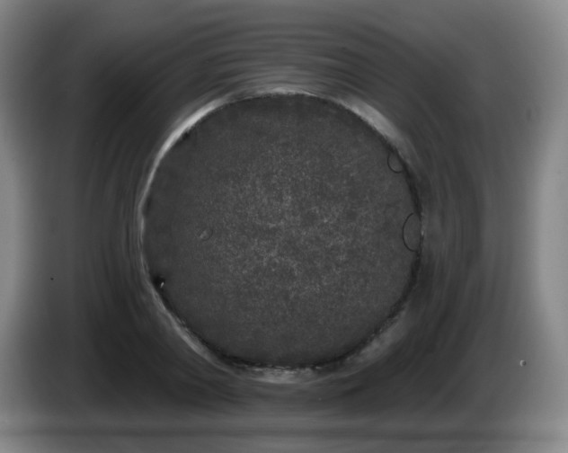 X0000085020790200703121542