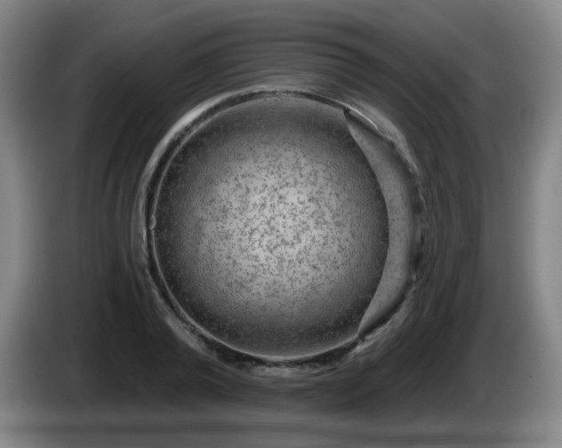 X0000085020792200703121541