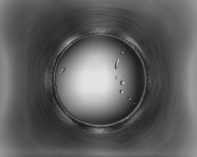 X0000085020794200703121541