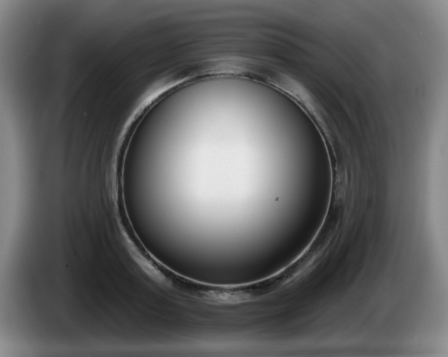 X0000085020795200703121541