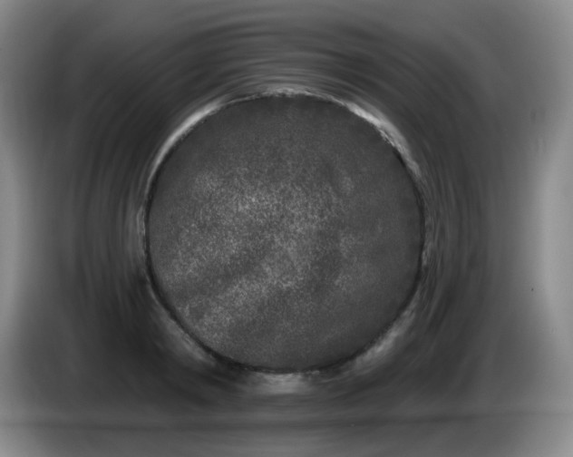 X0000085020798200703121541
