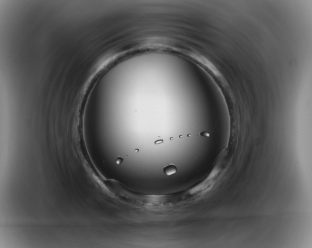 X0000085020799200703121541