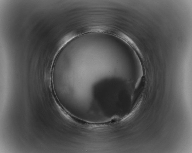 X0000085020802200703121541