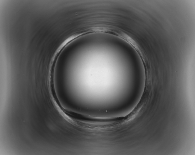 X0000085020803200703121541