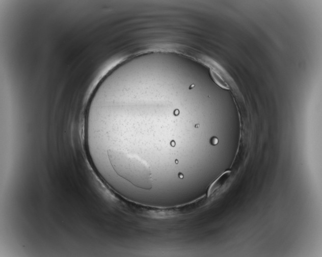 X0000085020804200703121541