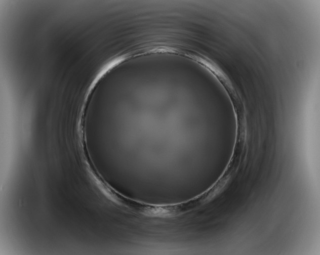 X0000085020806200703121541