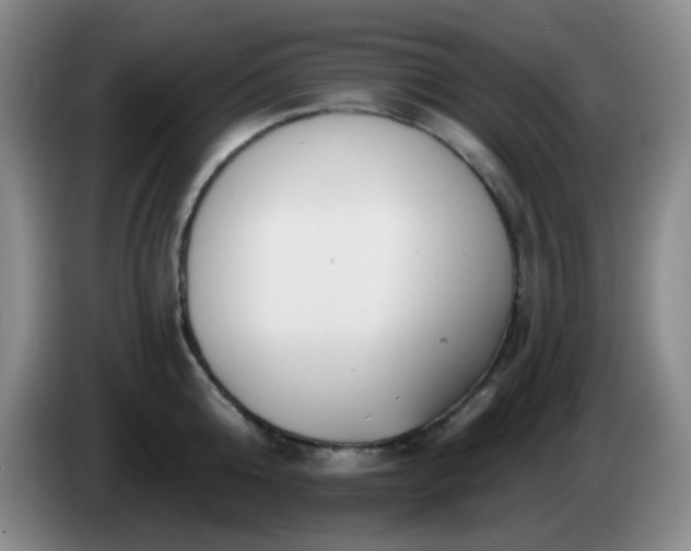 X0000085020808200703121541