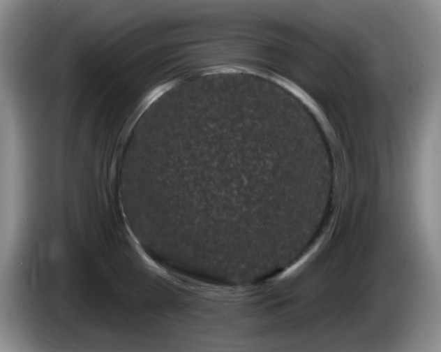 X0000085020809200703121541
