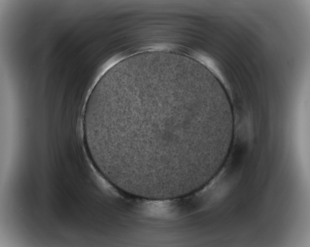 X0000085020810200703121541